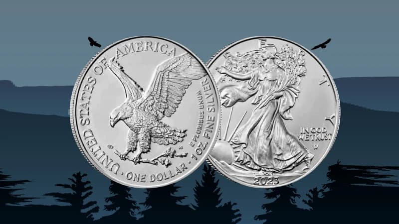  Things To Keep In Mind While Buy Silver American Eagle Coins
