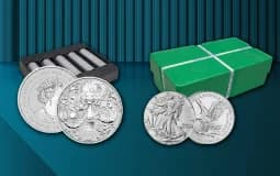 Silver Monster Box