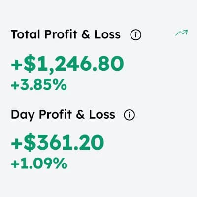 Profit & Loss Statements