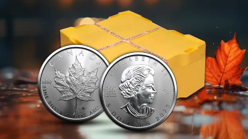 Silver Maple Leaf Monster Box Guaranteed Best Prices Online