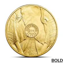 2024 1 oz South Africa: Big Five Elephant Gold Coin (BU)