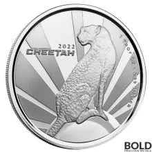 2022 Silver 1 oz Cameroon Cheetah BU