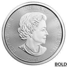 Silver 1 oz Royal Canadian Mint Coin *Random Design*