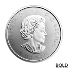 2017 Silver Canadian Voyageur - 1 oz