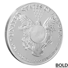 Silver 1 oz Walking Liberty Round (Sunshine Mint)