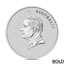 2025 1 Kilo Perth Lunar Year of the Snake Silver Coin (BU)