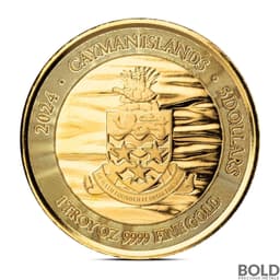 2024 1 oz Cayman Islands Loggerhead Turtle Gold Coin