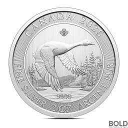 2025 2 oz Canadian Goose Silver Coin (BU)