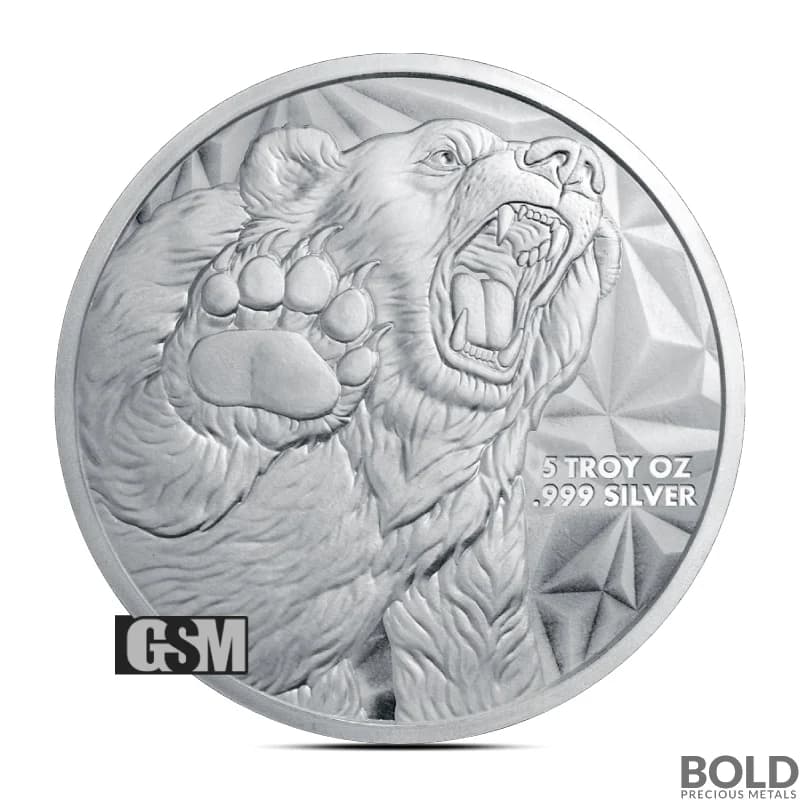 5 oz Bull and Bear Silver Round (GSM)