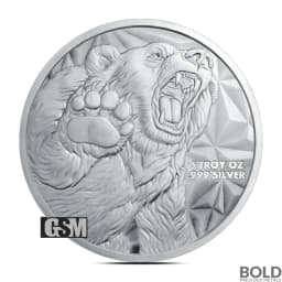 5 oz Bull and Bear Silver Round (GSM)
