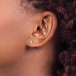 Inverness Titanium Bezel Crystal Earrings
