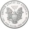 Silver American 1 oz Eagle Proof *Random Date*