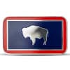 1 oz Wyoming State Flag Silver Bar (Colored)