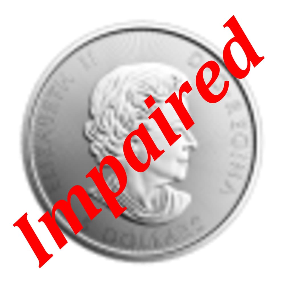 2017 Silver Canadian Voyageur - 1 oz *Spotted