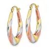 Oval Scalloped Hollow Hoop Earrings
